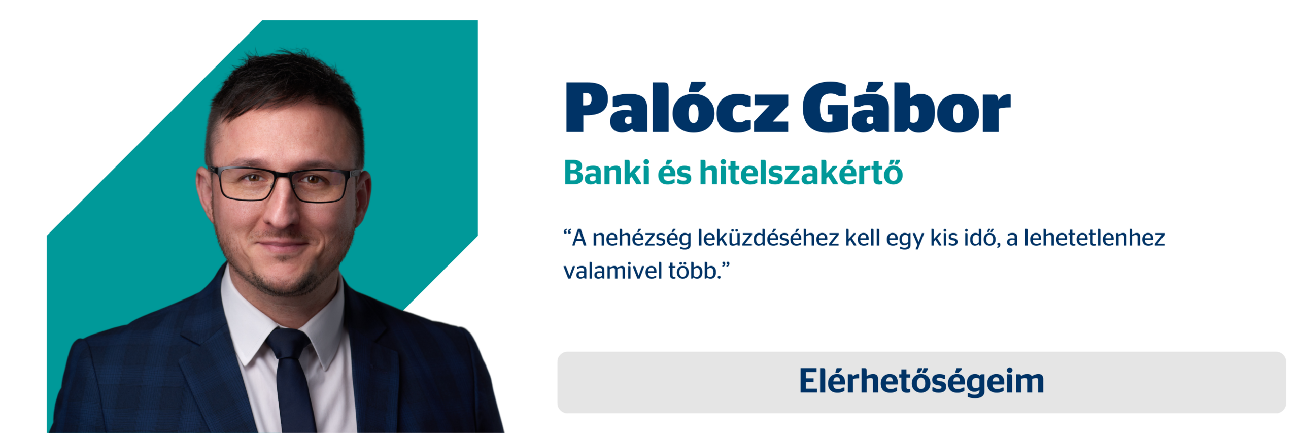 Palócz Gábor